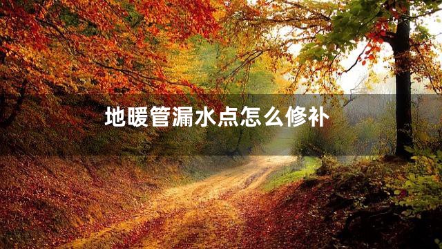 地暖管漏水点怎么修补