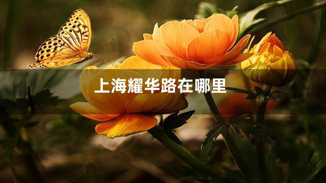 上海耀华路在哪里