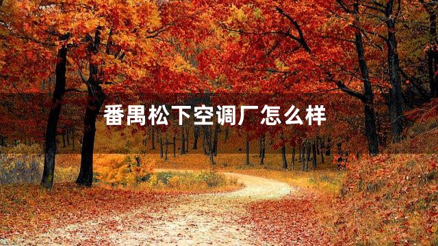 番禺松下空调厂怎么样