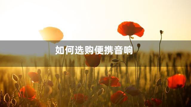 如何选购便携音响