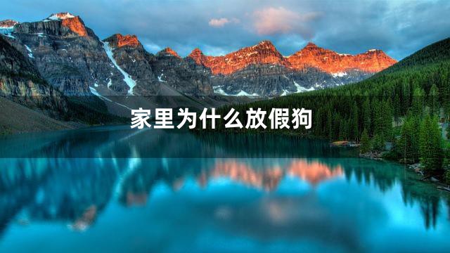家里为什么放假狗