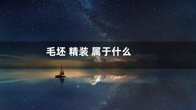 毛坯 精装 属于什么