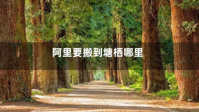 阿里要搬到塘栖哪里