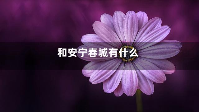 和安宁春城有什么
