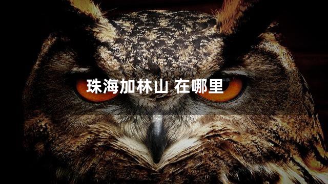 珠海加林山 在哪里