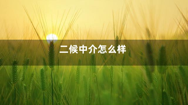 二候中介怎么样