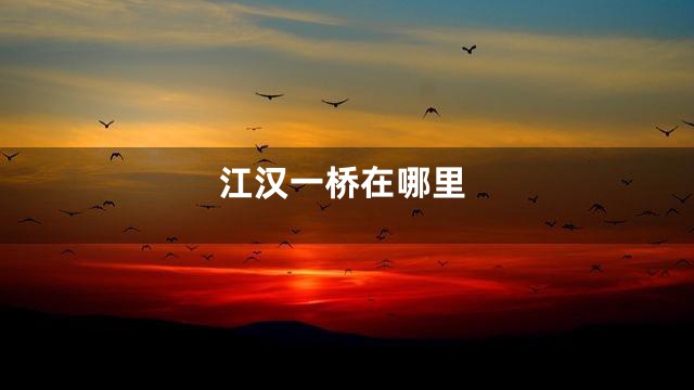 江汉一桥在哪里