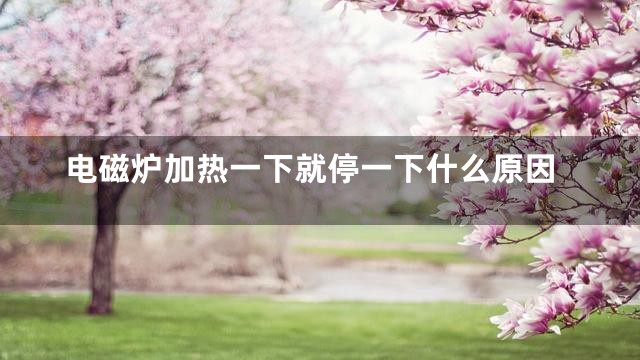 电磁炉加热一下就停一下什么原因
