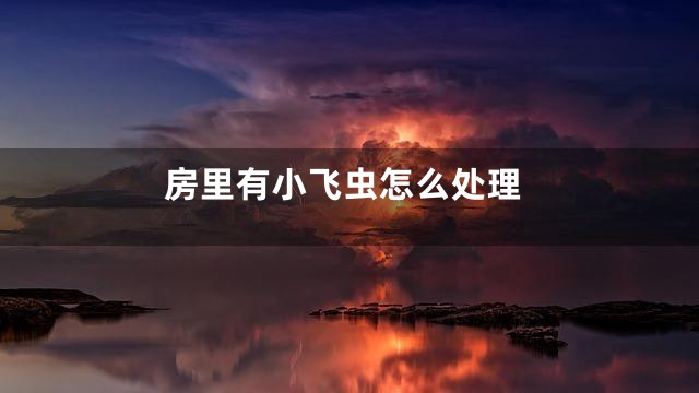 房里有小飞虫怎么处理