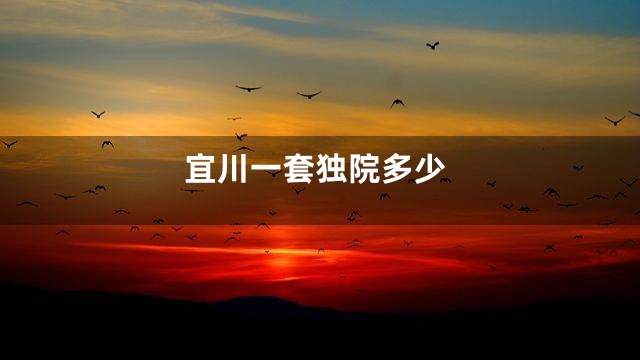 宜川一套独院多少