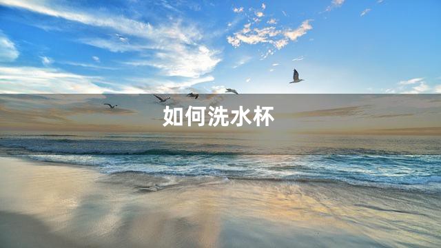 如何洗水杯