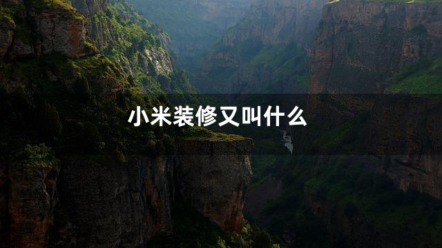 小米装修又叫什么