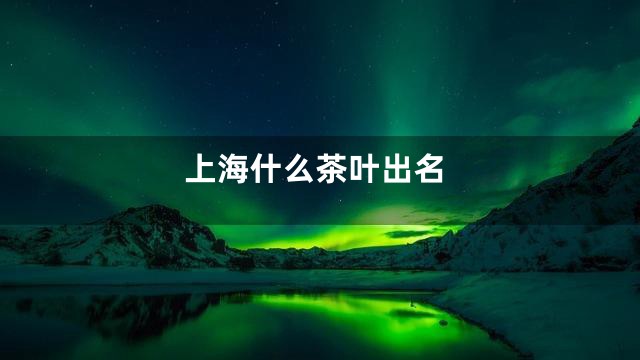 上海什么茶叶出名