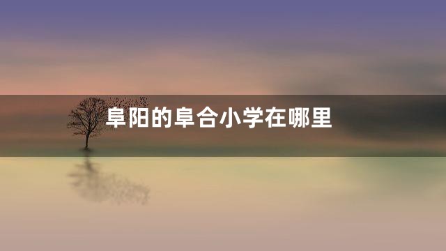 阜阳的阜合小学在哪里