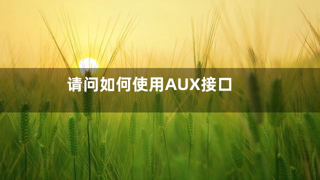 请问如何使用AUX接口
