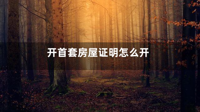 开首套房屋证明怎么开