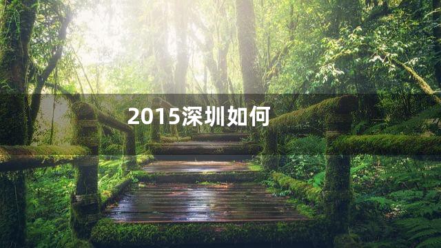 2015深圳如何
