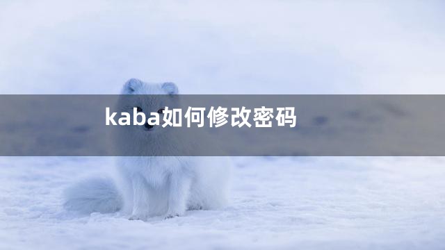 kaba如何修改密码