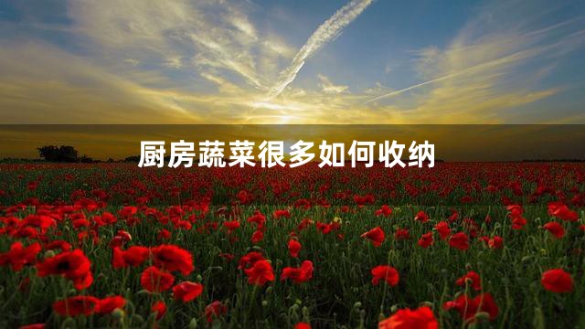 厨房蔬菜很多如何收纳