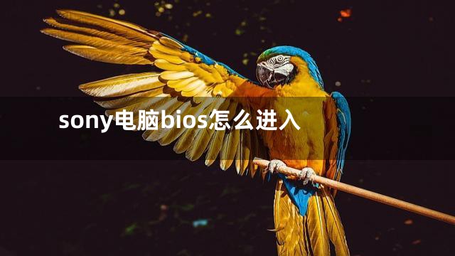 sony电脑bios怎么进入