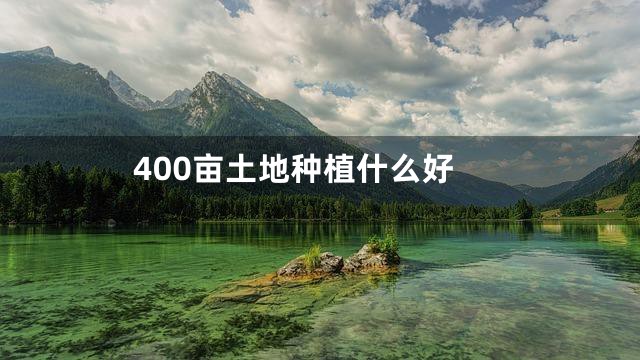 400亩土地种植什么好