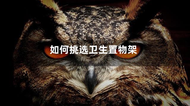 如何挑选卫生置物架