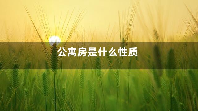 公寓房是什么性质