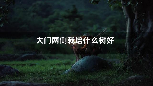 大门两侧栽培什么树好