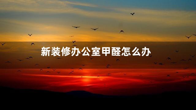 新装修办公室甲醛怎么办