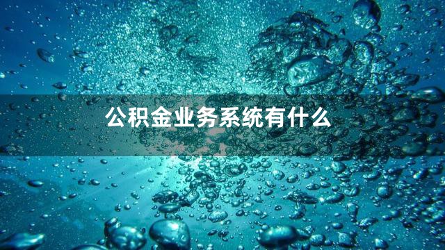 公积金业务系统有什么