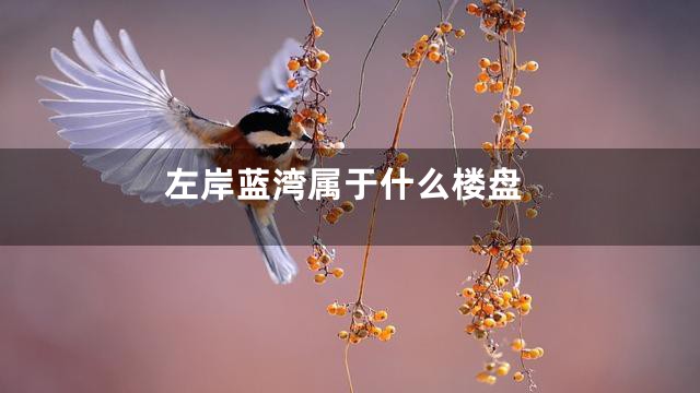 左岸蓝湾属于什么楼盘