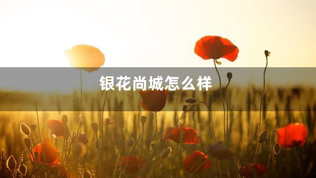 银花尚城怎么样
