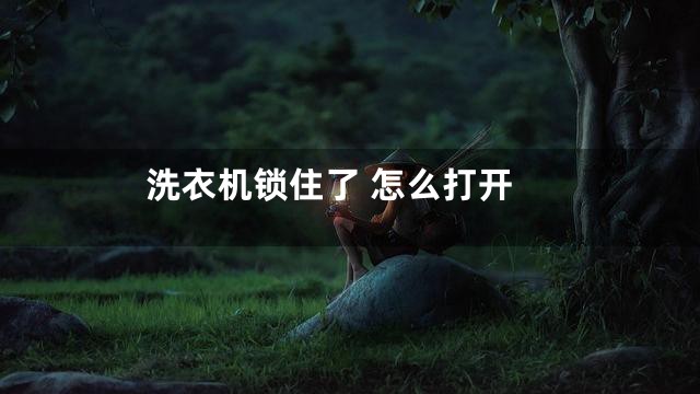 洗衣机锁住了 怎么打开