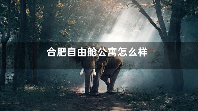 合肥自由舱公寓怎么样