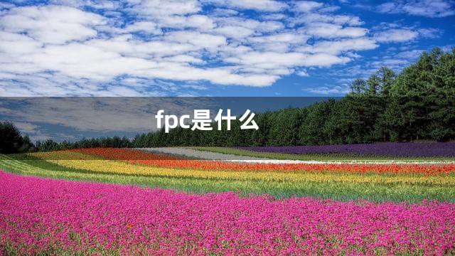 fpc是什么