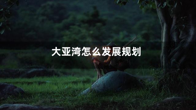 大亚湾怎么发展规划