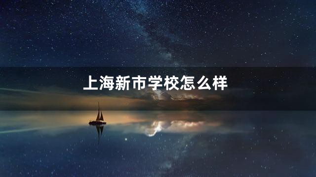 上海新市学校怎么样