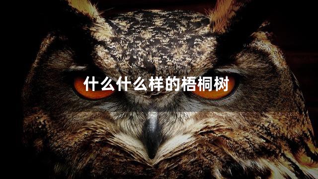 什么什么样的梧桐树