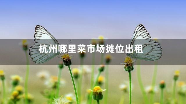 杭州哪里菜市场摊位出租