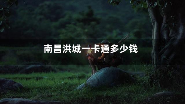 南昌洪城一卡通多少钱