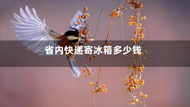 省内快递寄冰箱多少钱