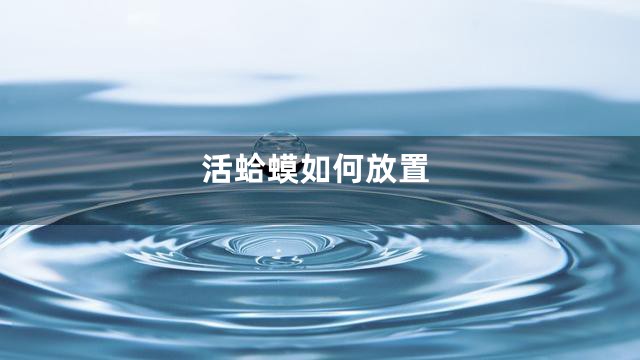 活蛤蟆如何放置
