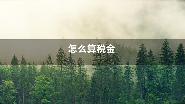 怎么算税金