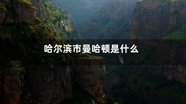 哈尔滨市曼哈顿是什么