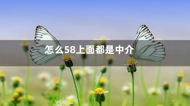 怎么58上面都是中介