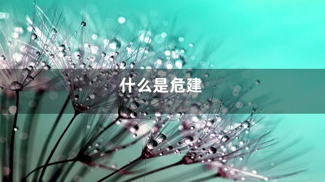 什么是危建