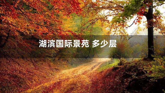 湖滨国际景苑 多少层
