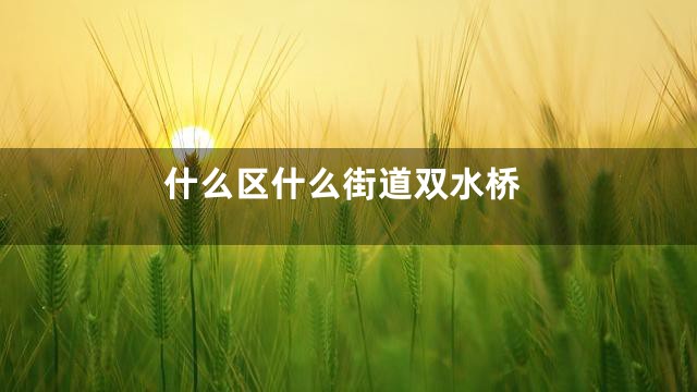 什么区什么街道双水桥