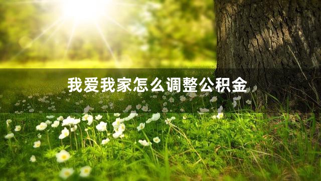 我爱我家怎么调整公积金