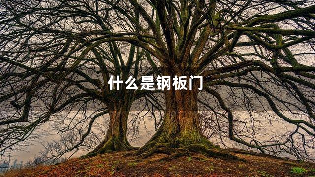 什么是钢板门